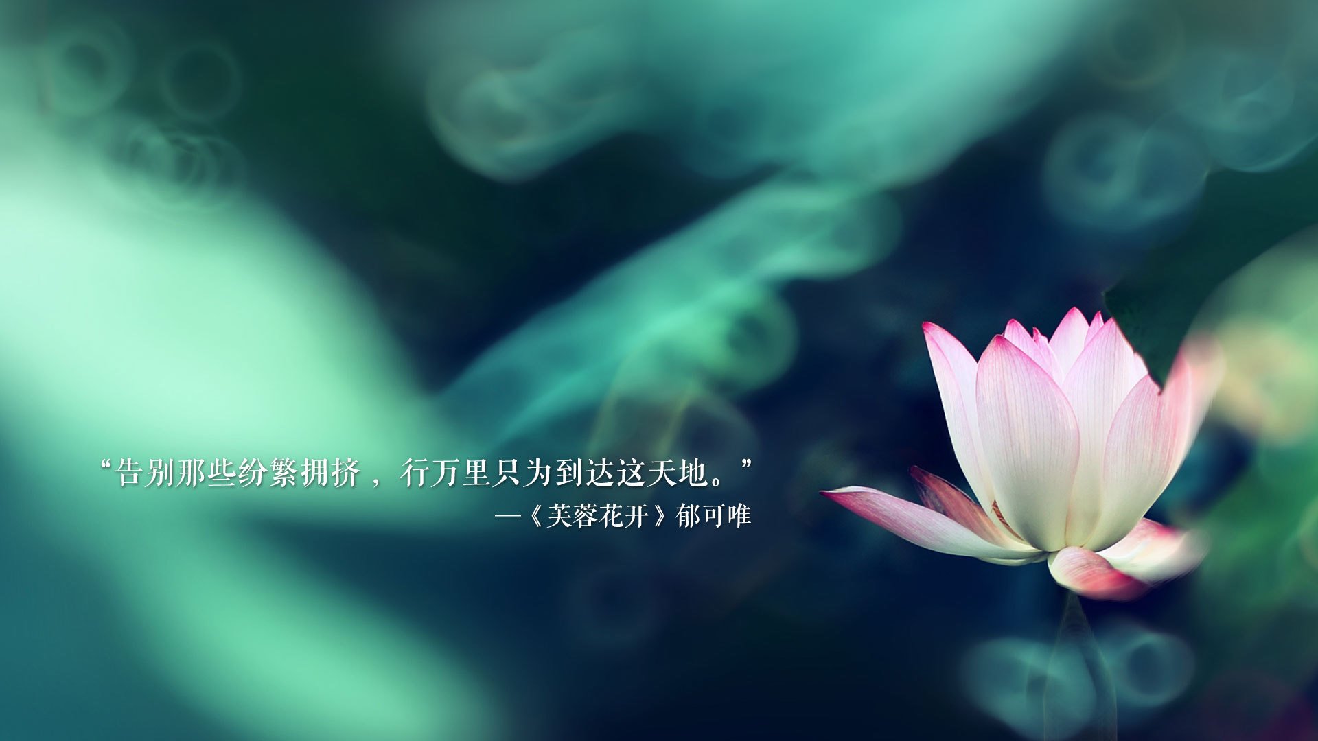 _骑士队展现无限潜力，冲击季后赛_，骑士队阵容名单最新
