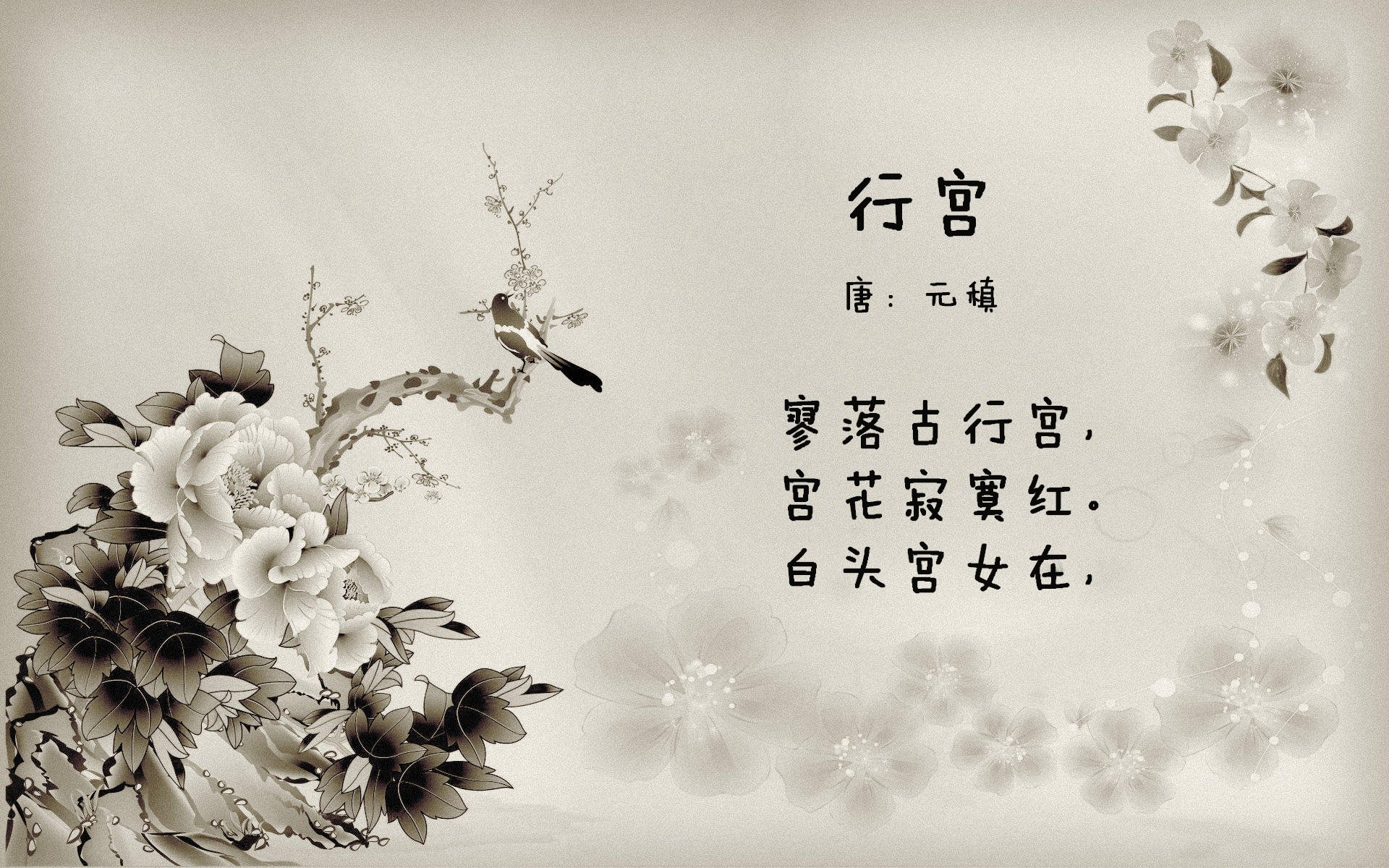 东契奇快攻连连独行侠斩获连胜，东契奇和独行侠签了几年合同