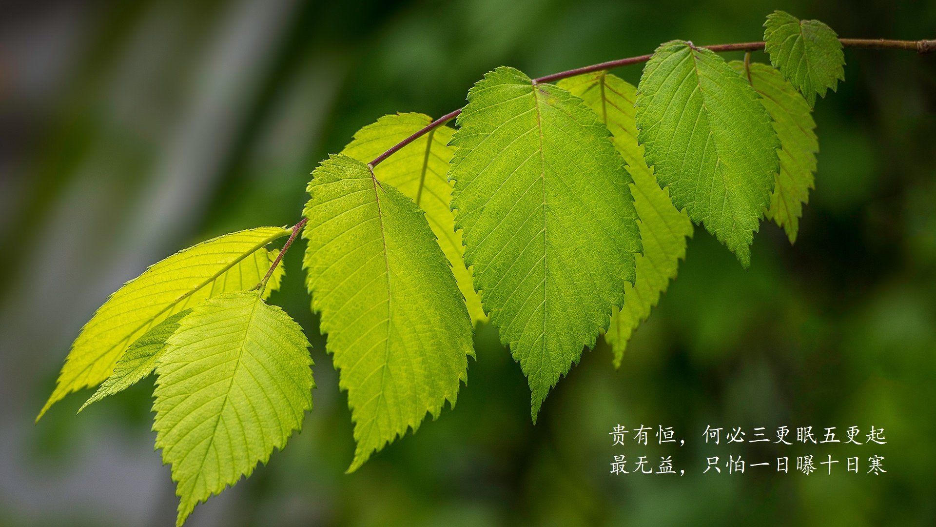 力争冠军！亚洲女足选手备战锦标赛，亚洲女足出线名单