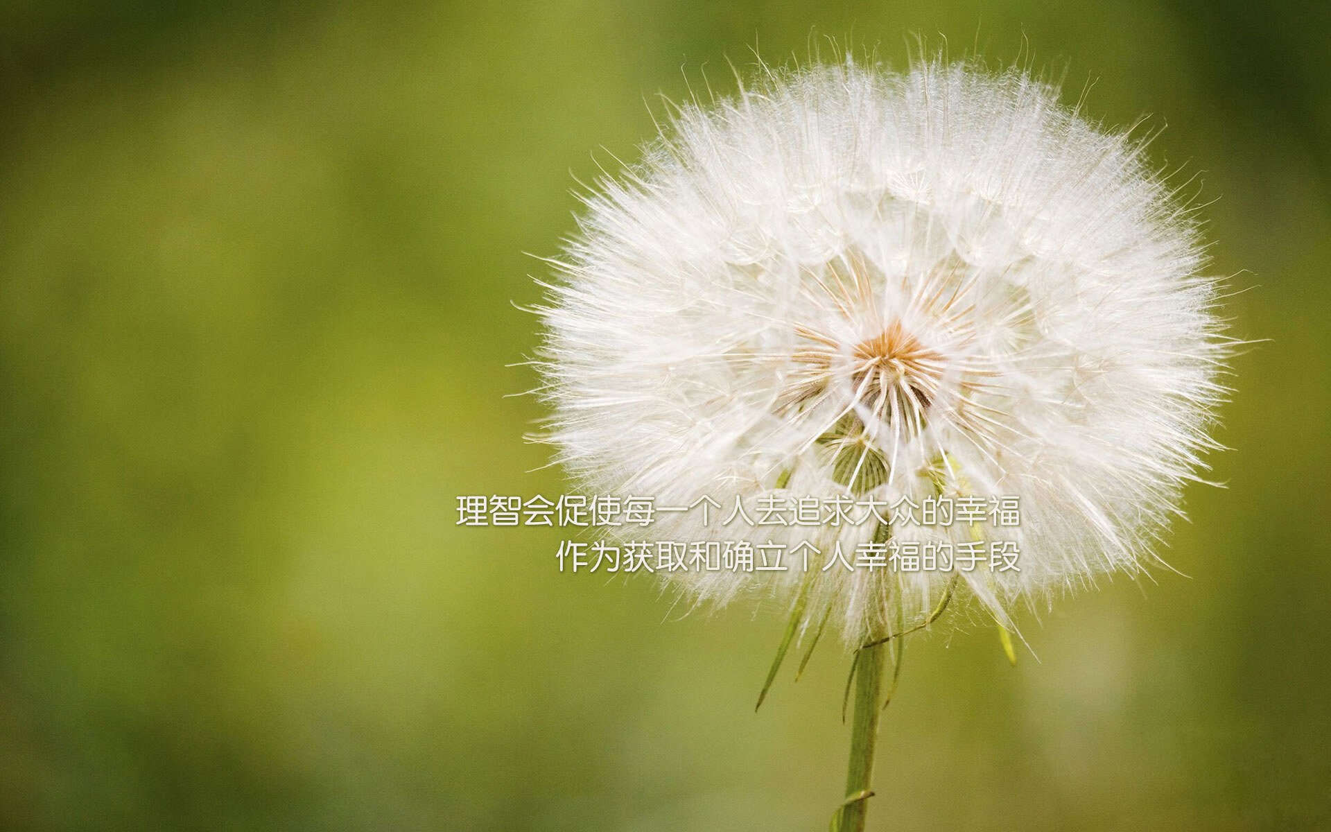 江苏苏宁迎来成都兴城，胜利将为哪一方倾注祝福？，苏宁成都门店地址列表