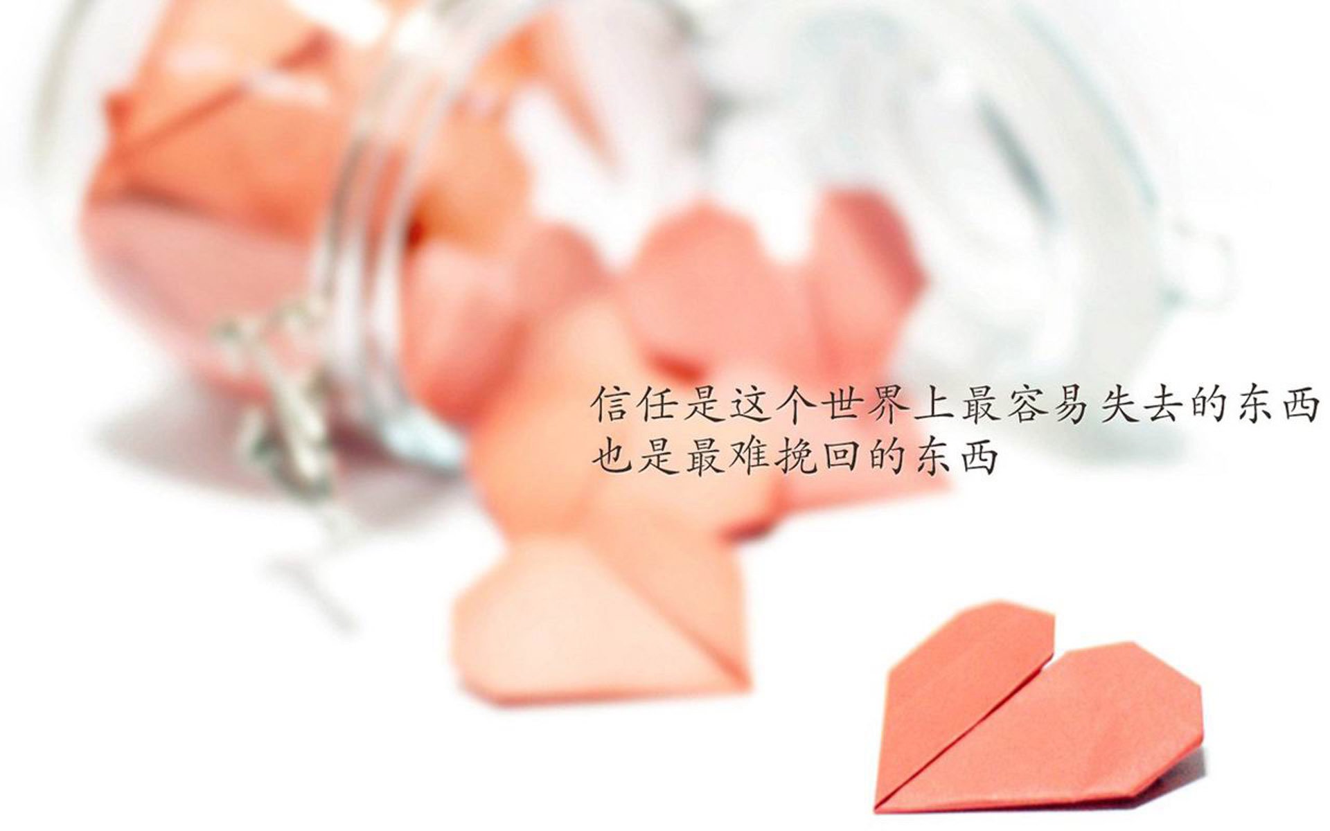 灰熊旗下电竞队伍冲进北美前列，灰熊队介绍