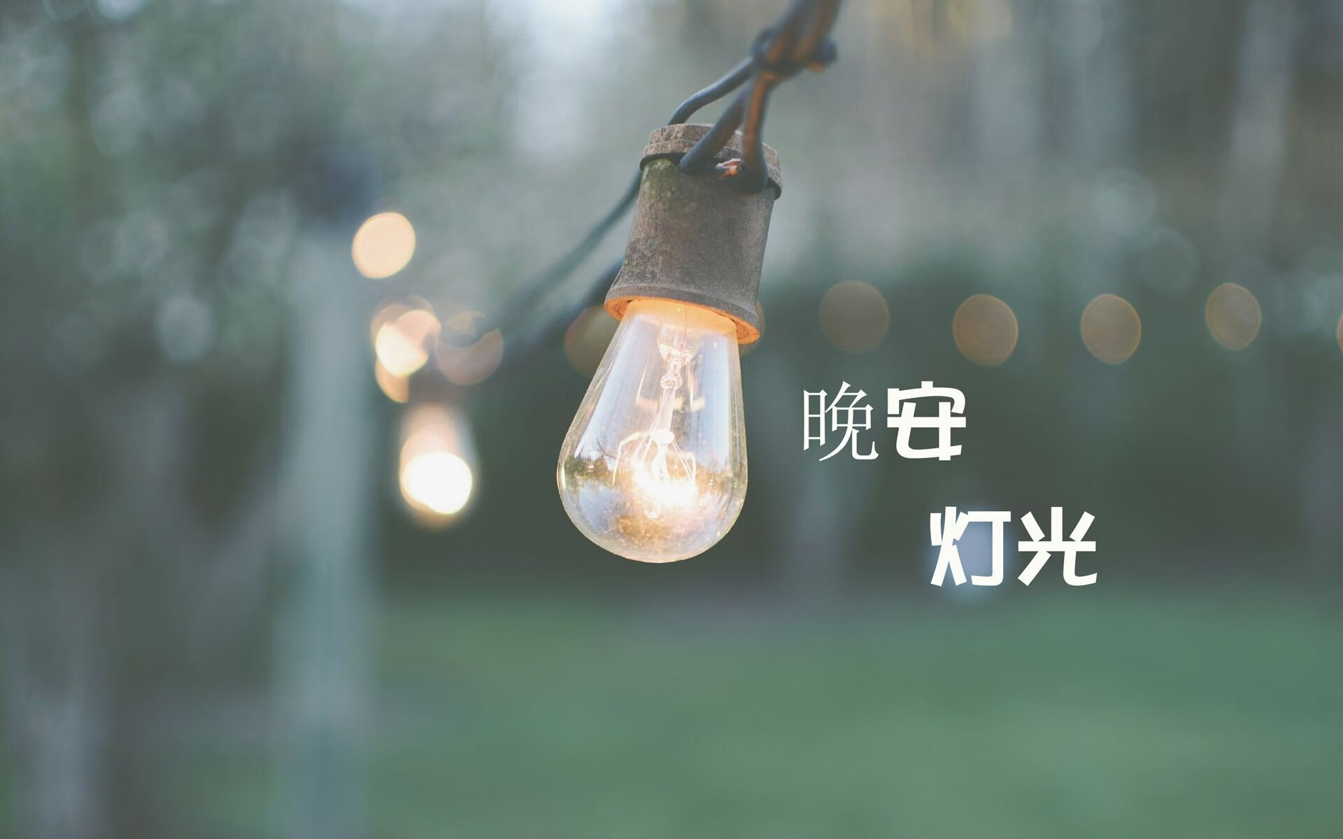 热门足球新闻：女子比赛中的精彩进球！，女子足球比赛视频