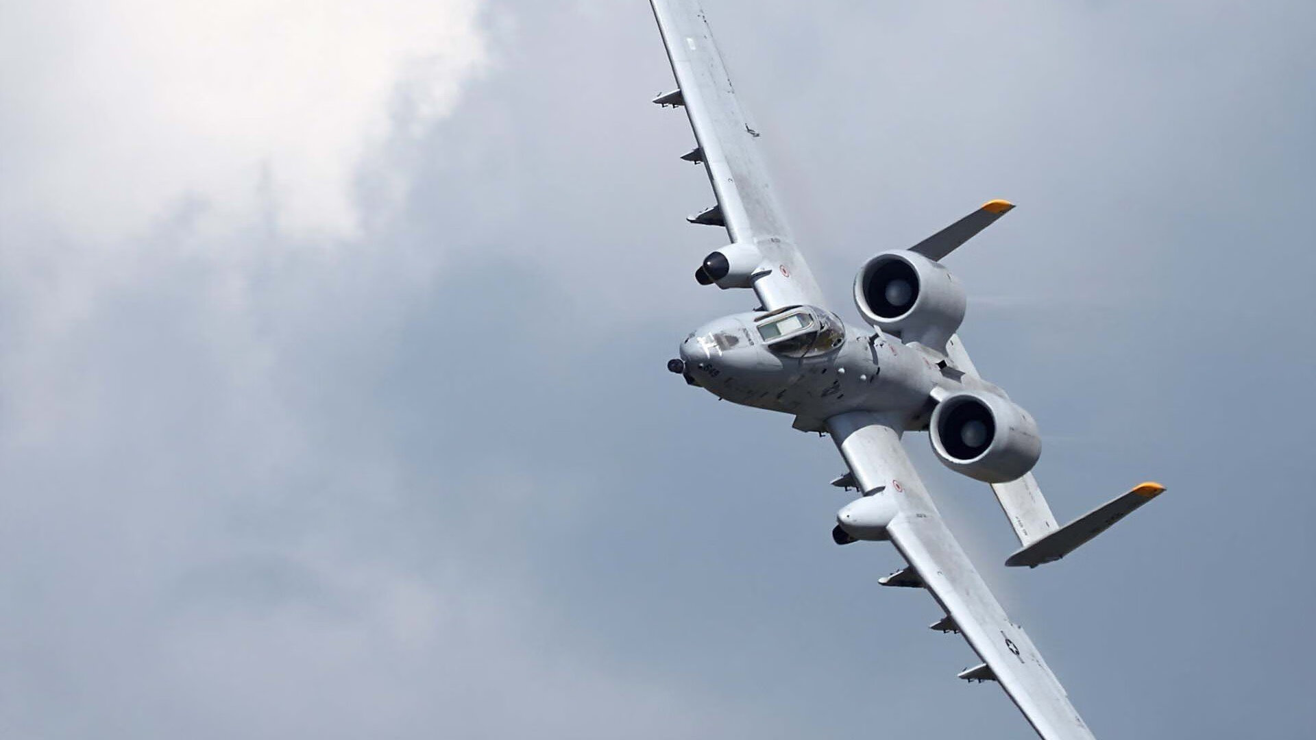 瑞典队在2024年乒乓世界杯的成功之路，瑞典乒乓球联赛