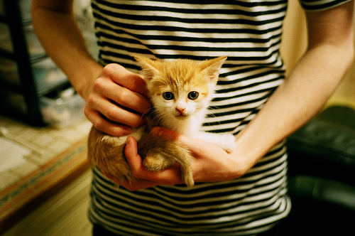 张雨霏突破自我刷新个人最好成绩，张雨霏如何走向巅峰
