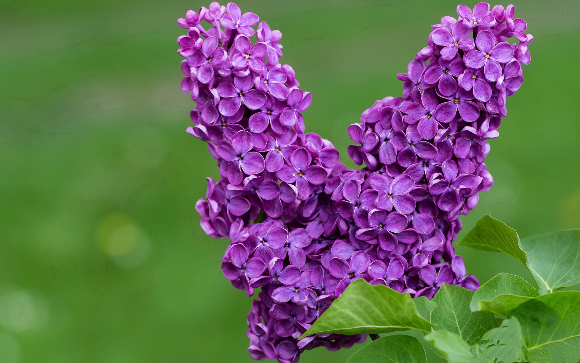 熊猫体育-德甲青训体系改制与成效，德甲青训最好俱乐部
