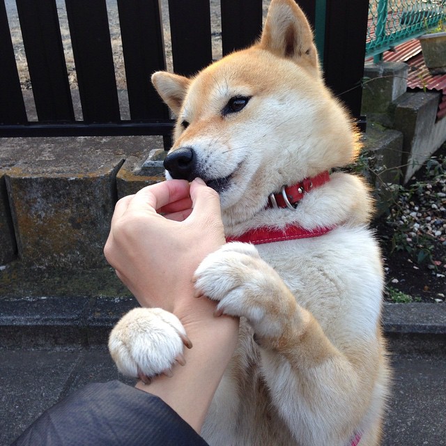 欧洲杯顶级战术：攻防转换的精彩瞬间，欧洲杯如何防冷门