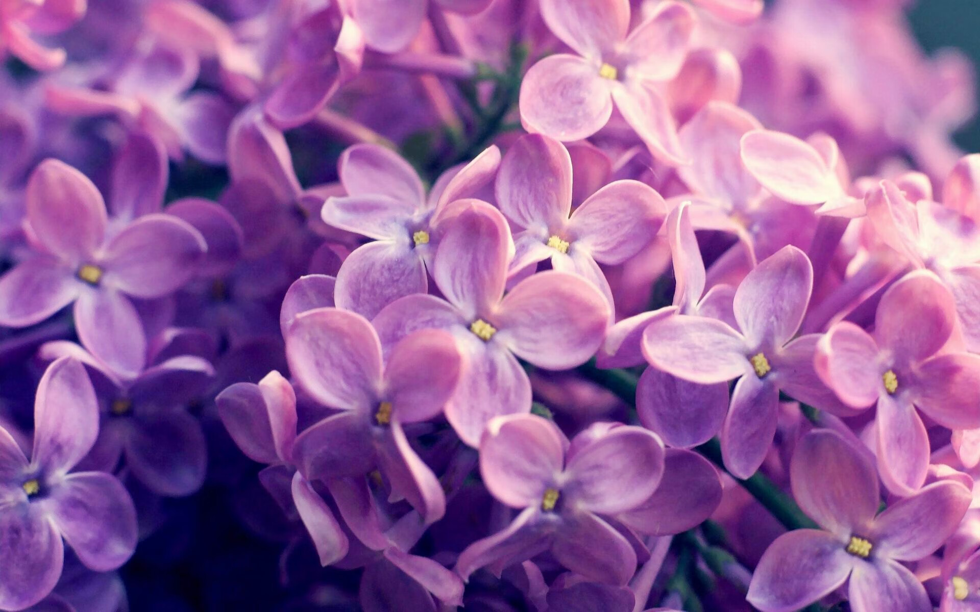 特色足球主题的文创市场持续火爆，带动地方经济发展，什么是足球文创作品