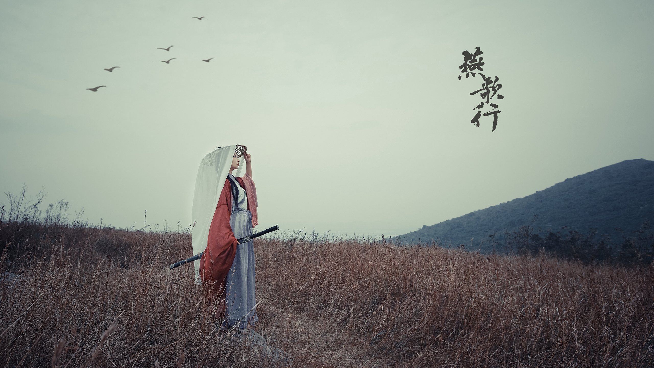 维尔·冯·威克：不惧对抗，凭借力量和技巧为南非队攻破敌防，维尔纳冯西门子简介